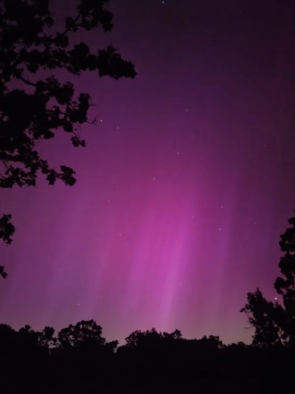 Morticia Thicc - OnlyFans Creator Profile Picture