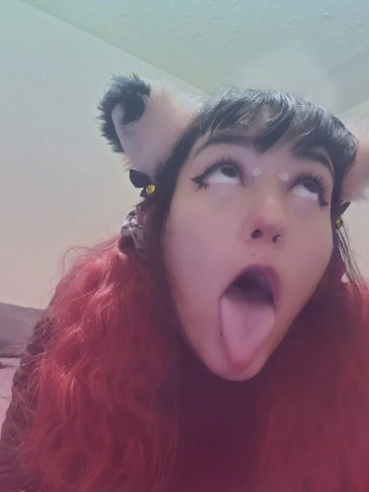 Gothiccckitten - OnlyFans Creator Profile Picture