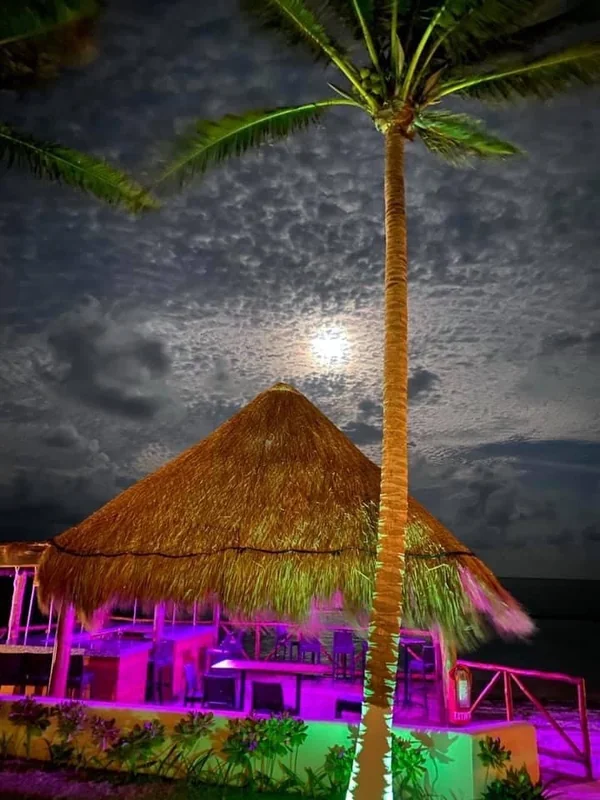 Mex4BBC - OnlyFans Creator Profile Picture