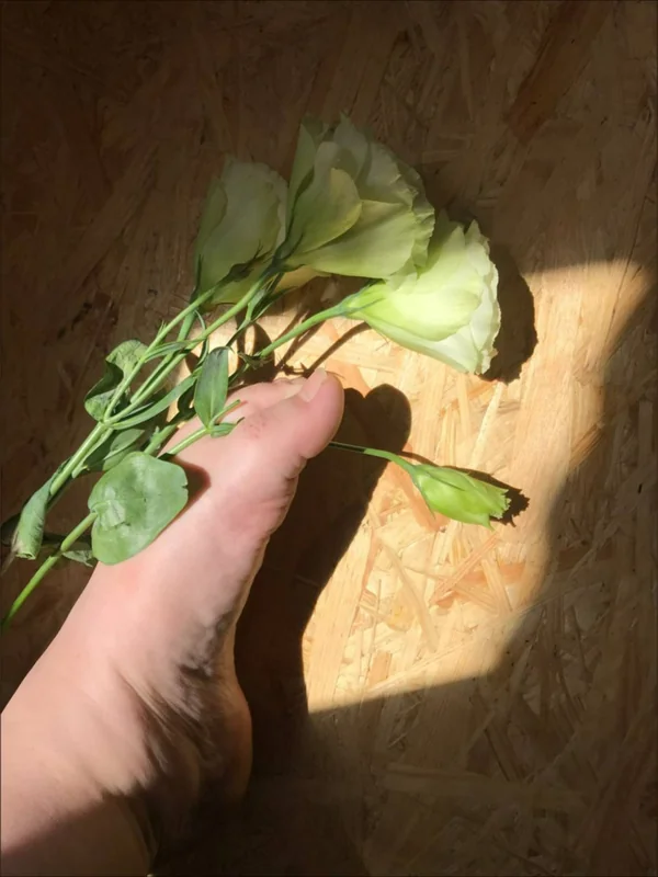 Lily OnlyFans Profile