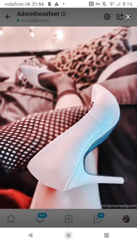 Raptortoes OnlyFans Profile