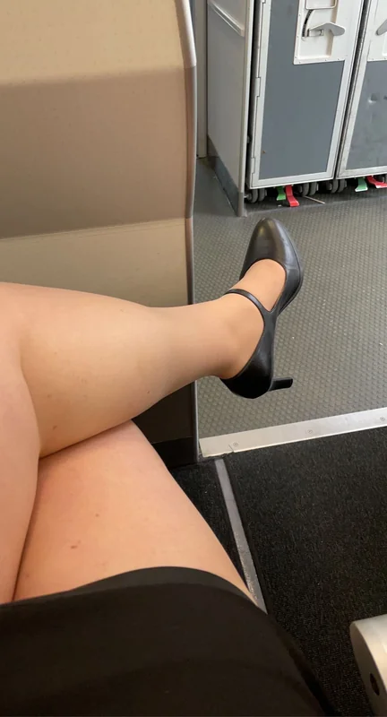 Skyhighstewardess - OnlyFans Creator Profile Picture