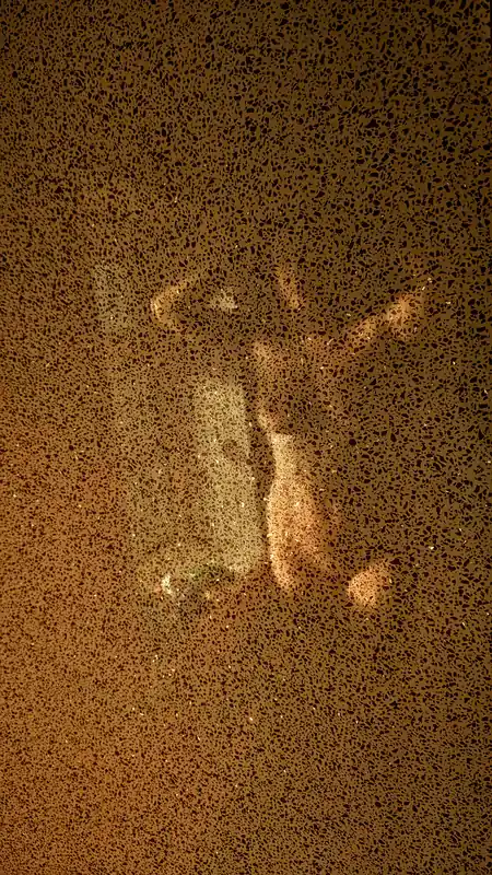 I Am Flo OnlyFans Profile