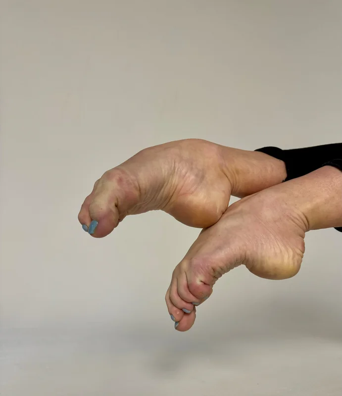 Swan Feet Fans - OnlyFans Creator Profile Picture