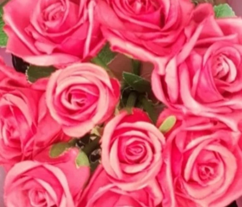 Tanningirl OnlyFans Profile