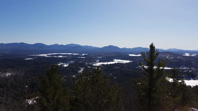 Theforgegirl - OnlyFans Creator Profile Picture