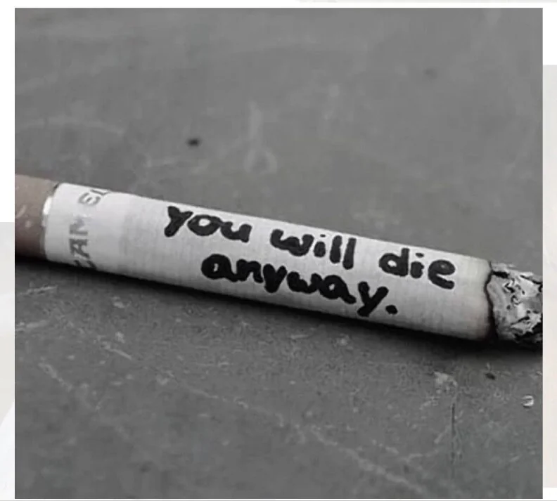 mmmmmmsnnene - OnlyFans Creator Profile Picture