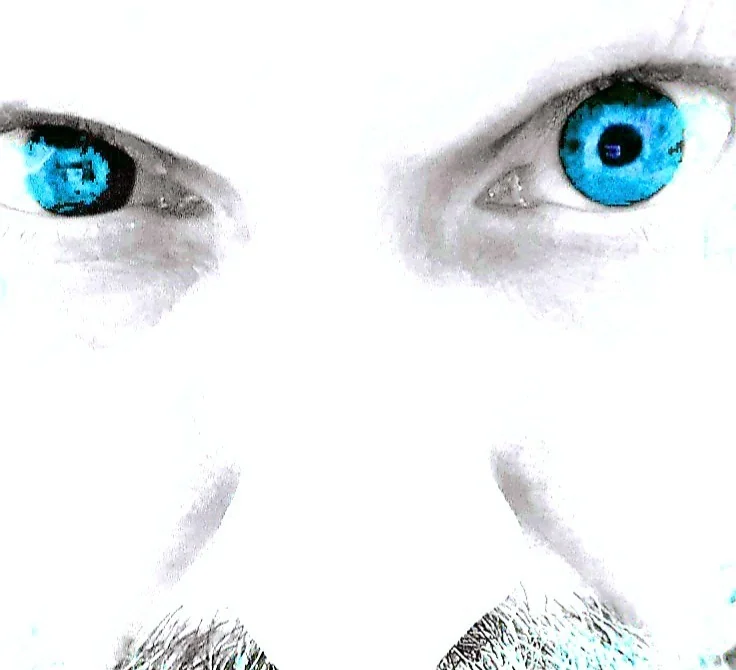 Tullenxxx - OnlyFans Creator Profile Picture