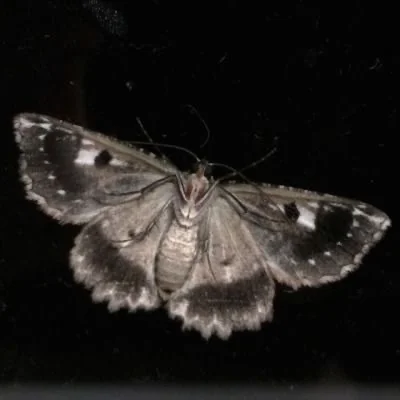 ⁎᷀ົ⁎ - OnlyFans Creator Profile Picture